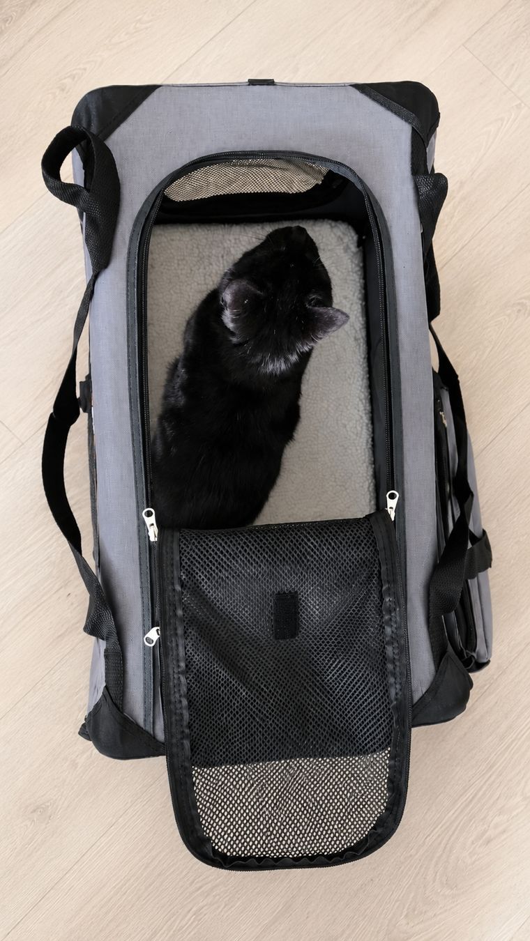 Gabbie, trasporto & Sicurezza: Trasportino per gatti e cani – Nuovo (secondo la descrizione) da Bioggio venduto da cun_9j9q 2