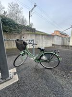 Vintage Damenfahrrad, hellgrün, mit Korb - Top Zustand!