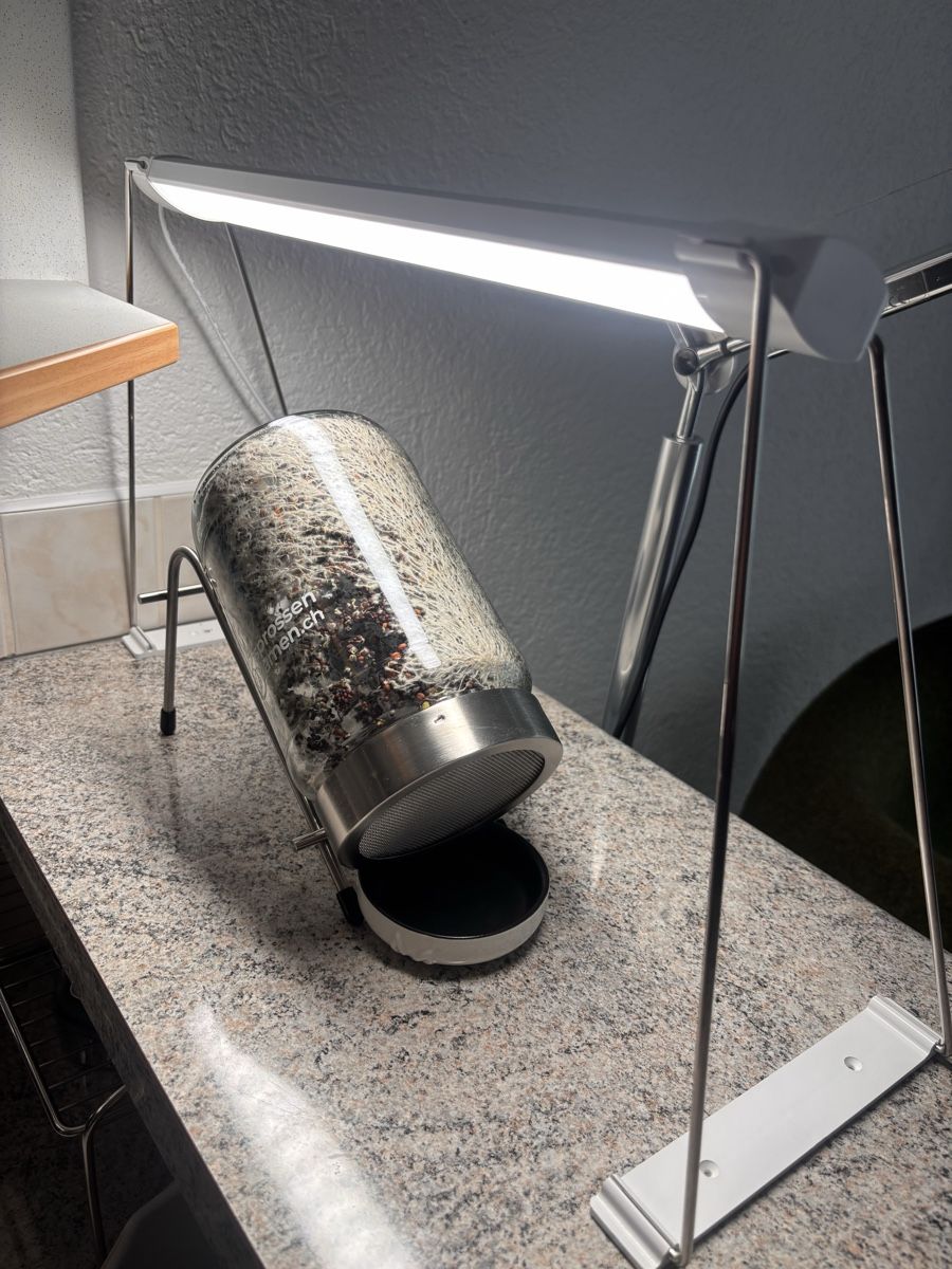 Aliments & Spécialités: Sprossenglas mit Gestell & UV-Lampe – D'occasion à Mellingen par villapepa