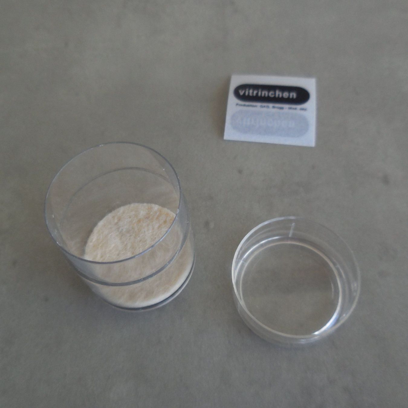 Vetrine: Vitrinchen magnetisch – Nuovo e nell'imballaggio originale da Zürich venduto da brifo64 4