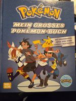 Mein grosses Pokemon Buch von Nelson Verlag 144 Seiten