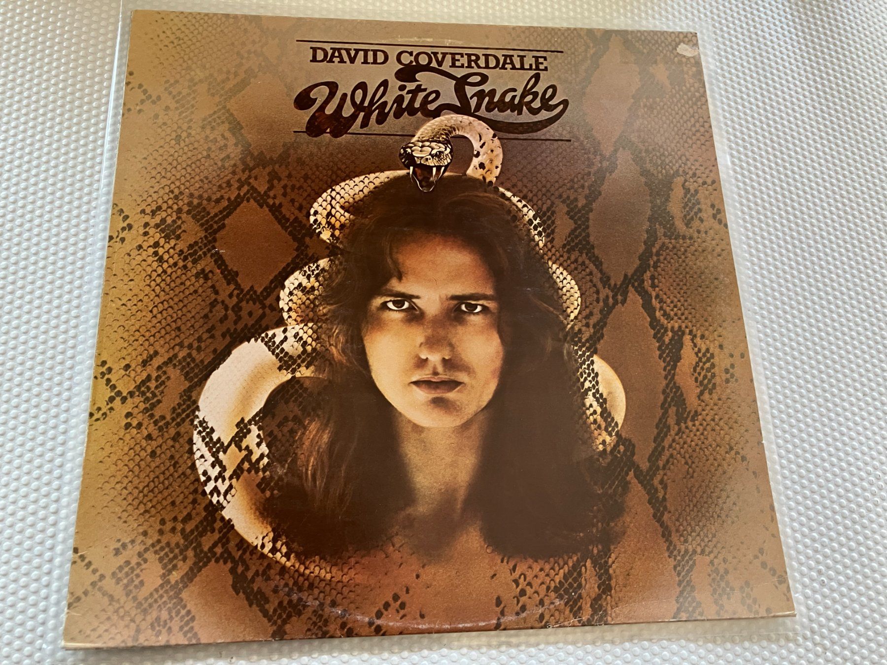 Dischi in vinile: Whitesnake – Usato da Aarwangen venduto da Jukebox3