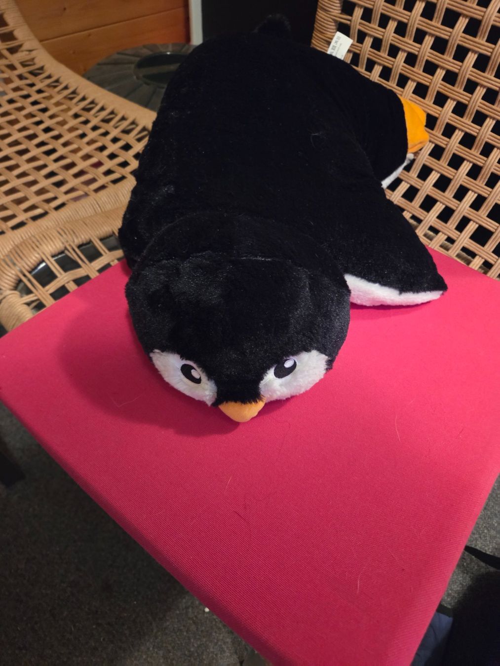 Cuscini: Plüschkissen Pinguin – Nuovo (secondo la descrizione) da Bitsch venduto da Bpetzi