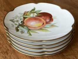 Tirschenreuth Porz. 5 Dessertteller Obst-Blüten Design