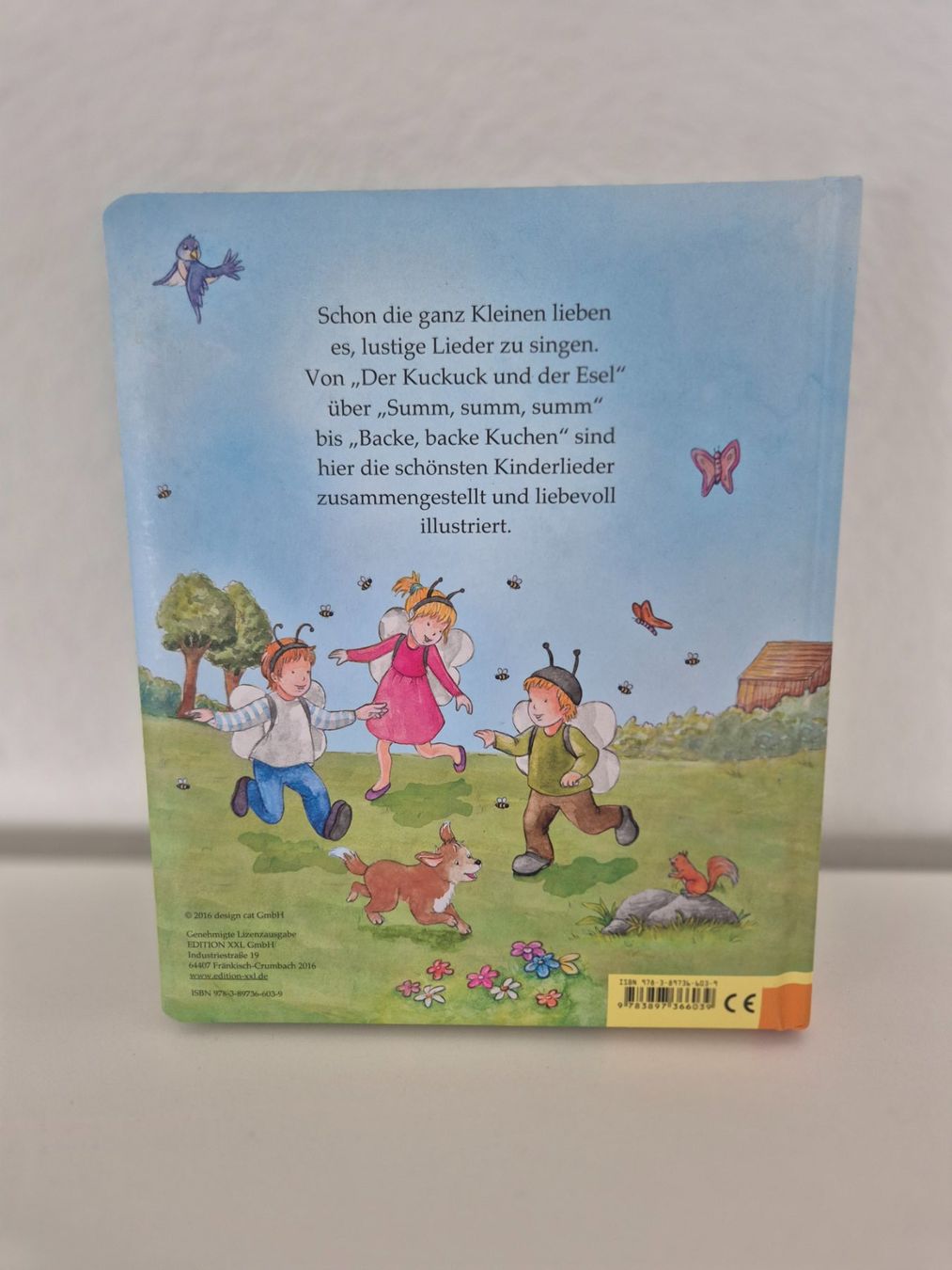 Libri: Buch Meine ersten Kinderlieder – Usato da Aarburg venduto da i_c6r8 4