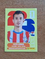 Panini Andrés Cubas PAR 12