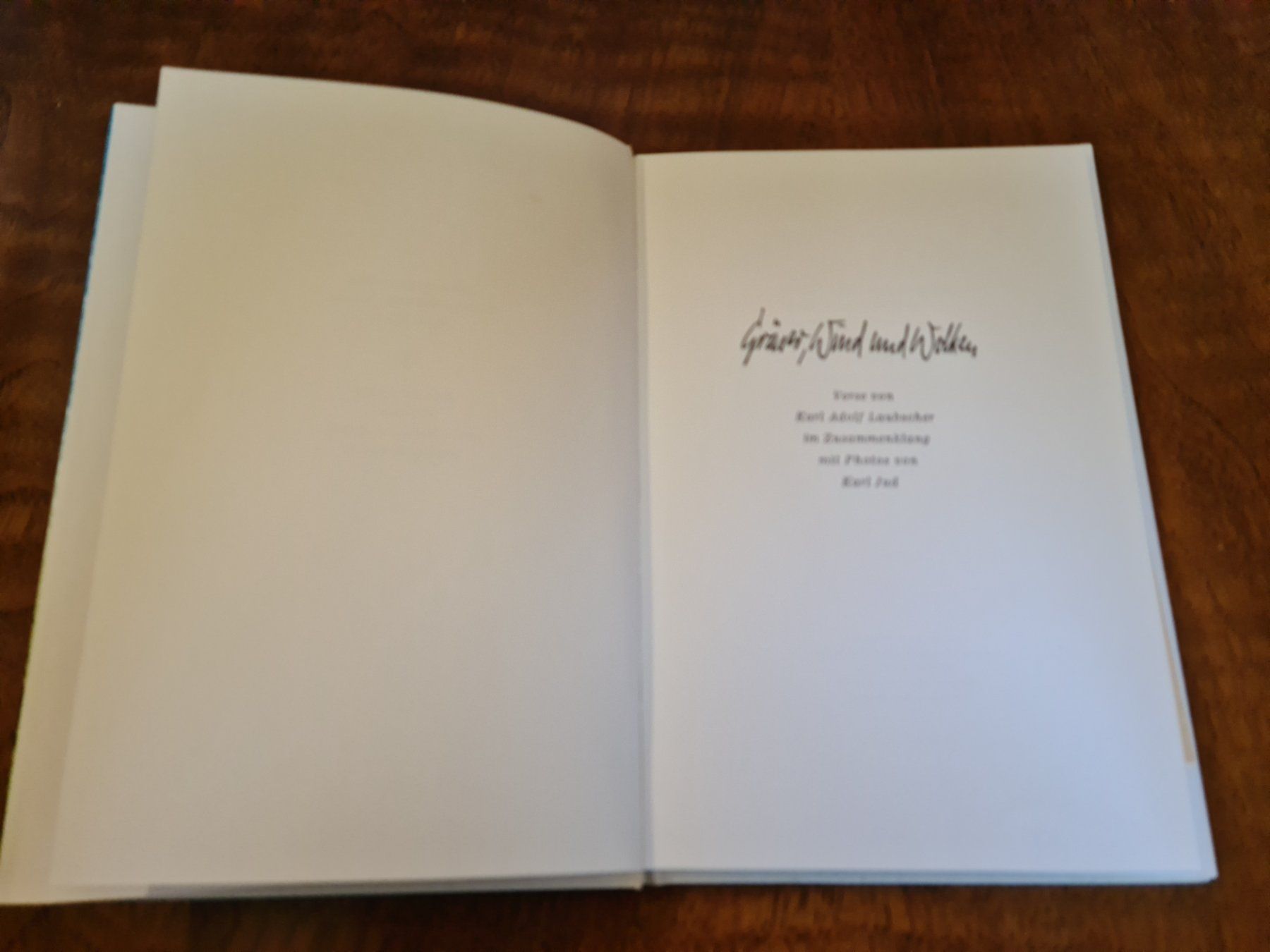 Libri: Gräser, Wind und Wolken – Usato da Erstfeld venduto da Uhu1980 1