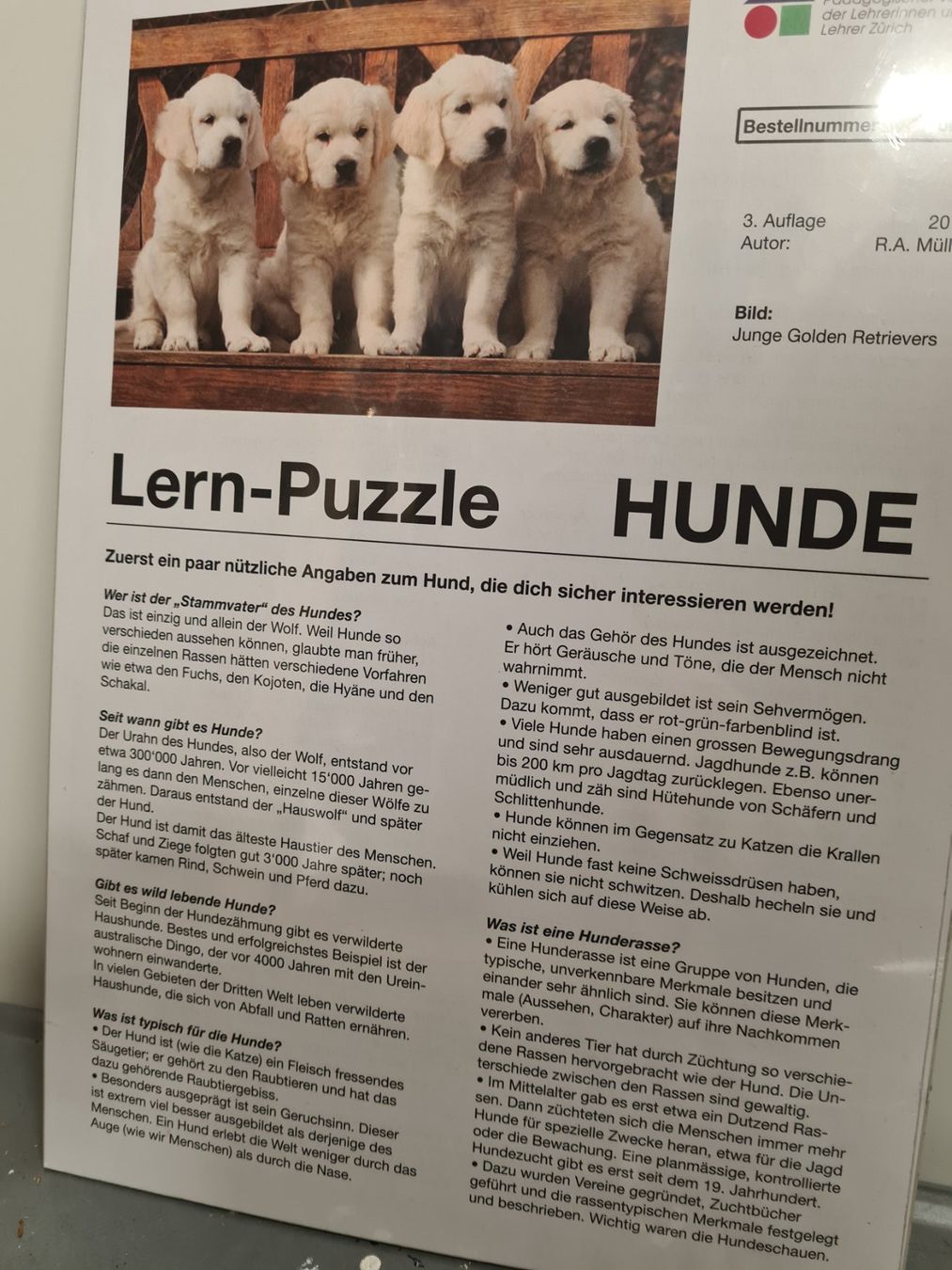 Puzzle: Puzzle im Bogen 34.5 x 25 cm – Nuovo e nell'imballaggio originale da Amriswil venduto da used2use 1