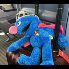 Profile image of superbear123