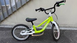 Woom 1 Plus 14 super Zustand