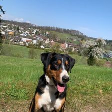 Profile image of stilli90