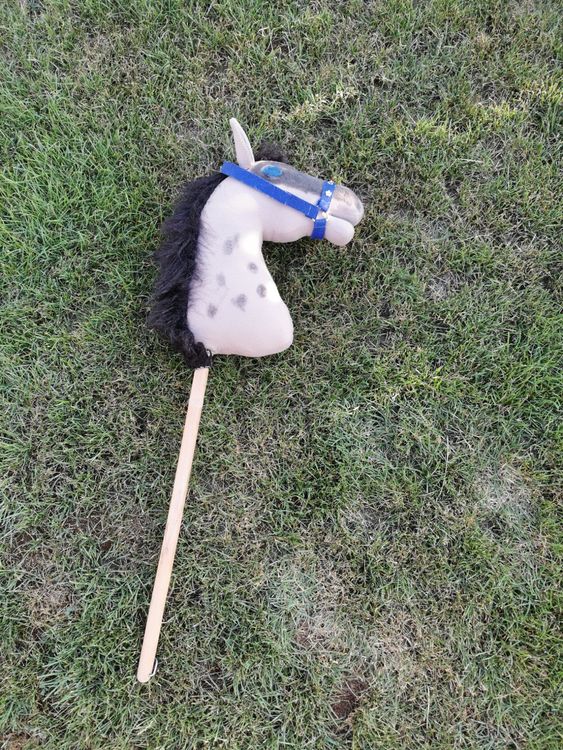 Süsses kleines graues Hobby Horse Fohlen Kaufen auf Ricardo