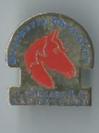 Plaquettes & Badges: Pferdekopf, Pin – D'occasion à Zürich par t24_de