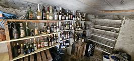 Diverse alkoholische Getränke, Harassen, über 100 Flaschen