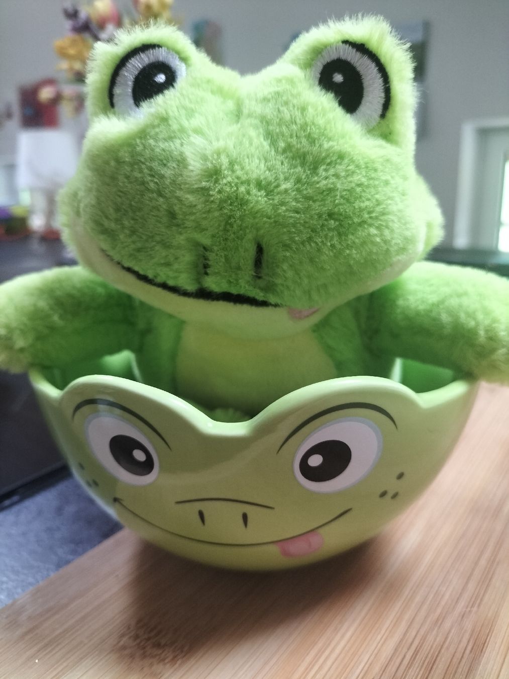 Giocattoli: bol + peluche grenouille – Nuovo (secondo la descrizione) da Gillarens venduto da Emy_28