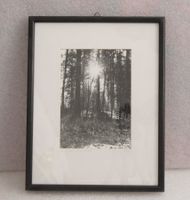 Fotografie: Es kommt ein Licht