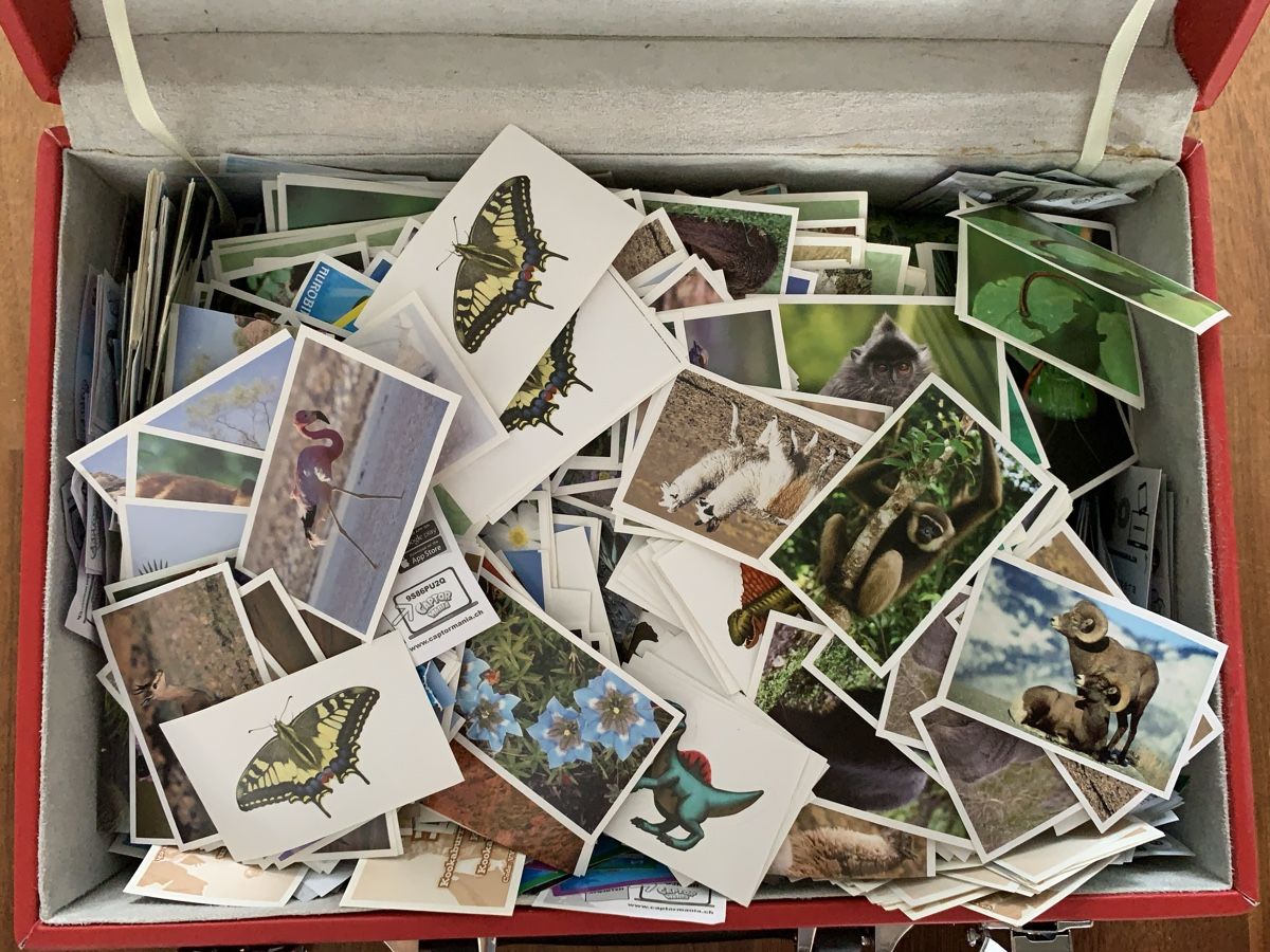 Sticker: Koffer mit Stickern Aufkleber – Usato da Aarwangen venduto da ChristineHoKa 3