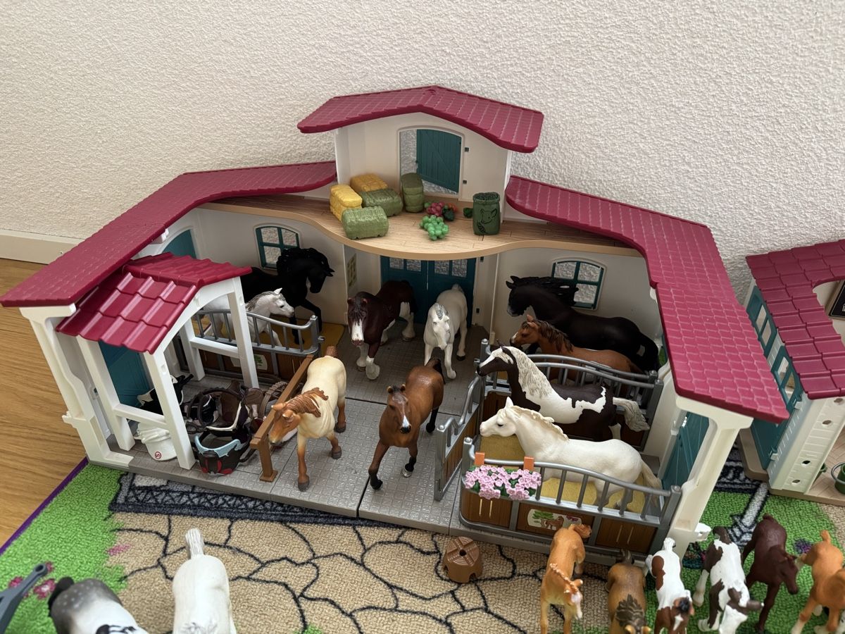 Spielzeuge: Riesen Schleich Set mit Teppich – Neu (gemäss Beschreibung) aus Domat/Ems von ali_8zpw 4