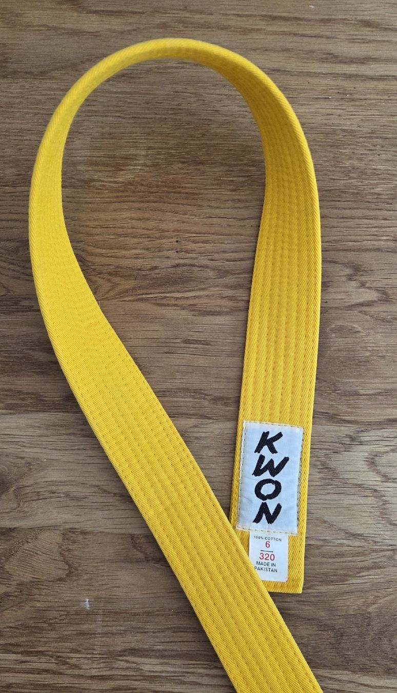 Internationale Kunst: kwon Karate Judo Gurtel Gelb Grösse 6 320cm – Neu (gemäss Beschreibung) aus Beinwil am See von gabipetrovay
