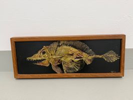 Paul Racle Fisch