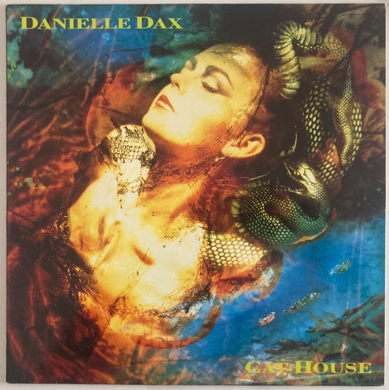 Schallplatten: DANIELLE DAX - CAT-HOUSE – Gebraucht aus Poliez-Pittet von Newtown-Records