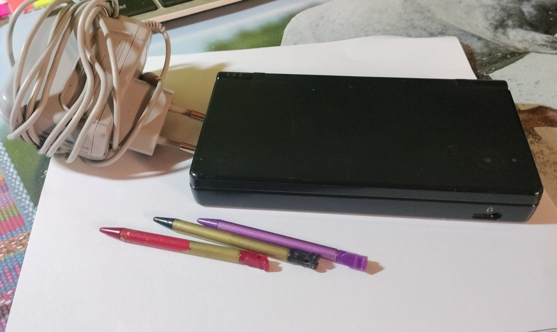 Nintendo Console: Nintendo DS con custodia – Usato da Capolago venduto da sco_7ywt 1