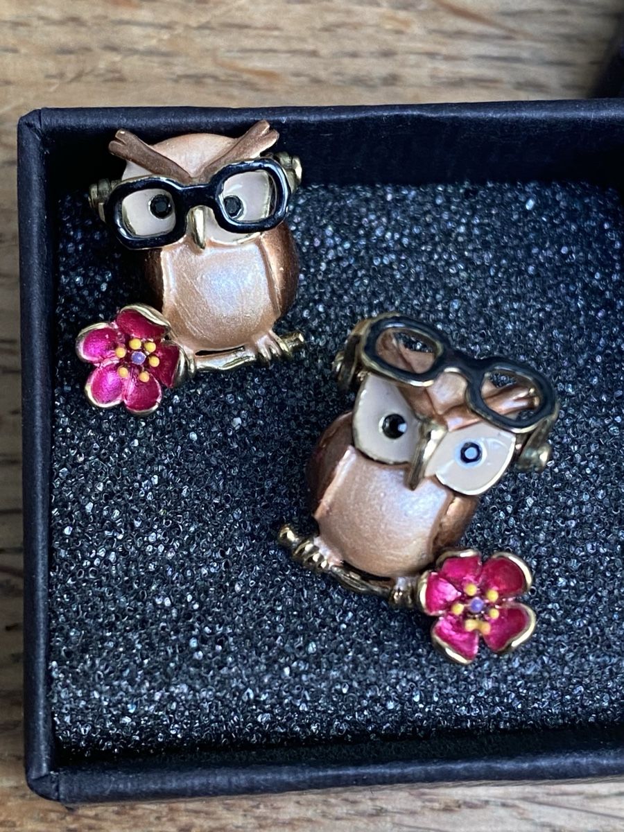 Ohrringe & -stecker: Suesse Ohrstecker Eule mit Brille, Modeschmuck, Neuwertig – Gebraucht aus Thalwil von Alice015 1