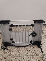Hundegitter Auto
