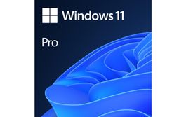Windows 11 Pro Key DE/FR/EN/IT