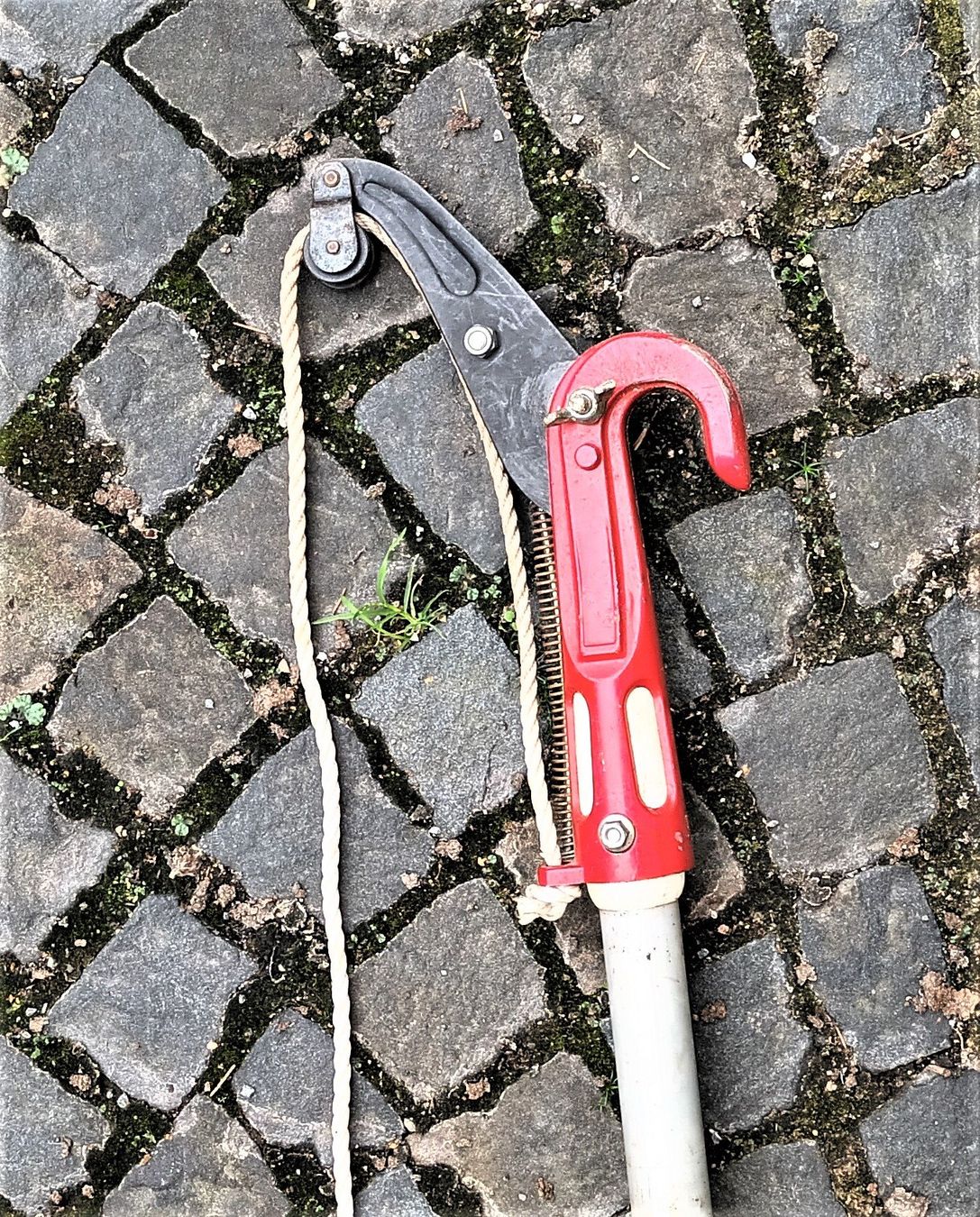 Tous les outils: Teleskop-Baumschneider Astschneider Gartenschere Baumschere – D'occasion à Vaduz par Bergtiger 2