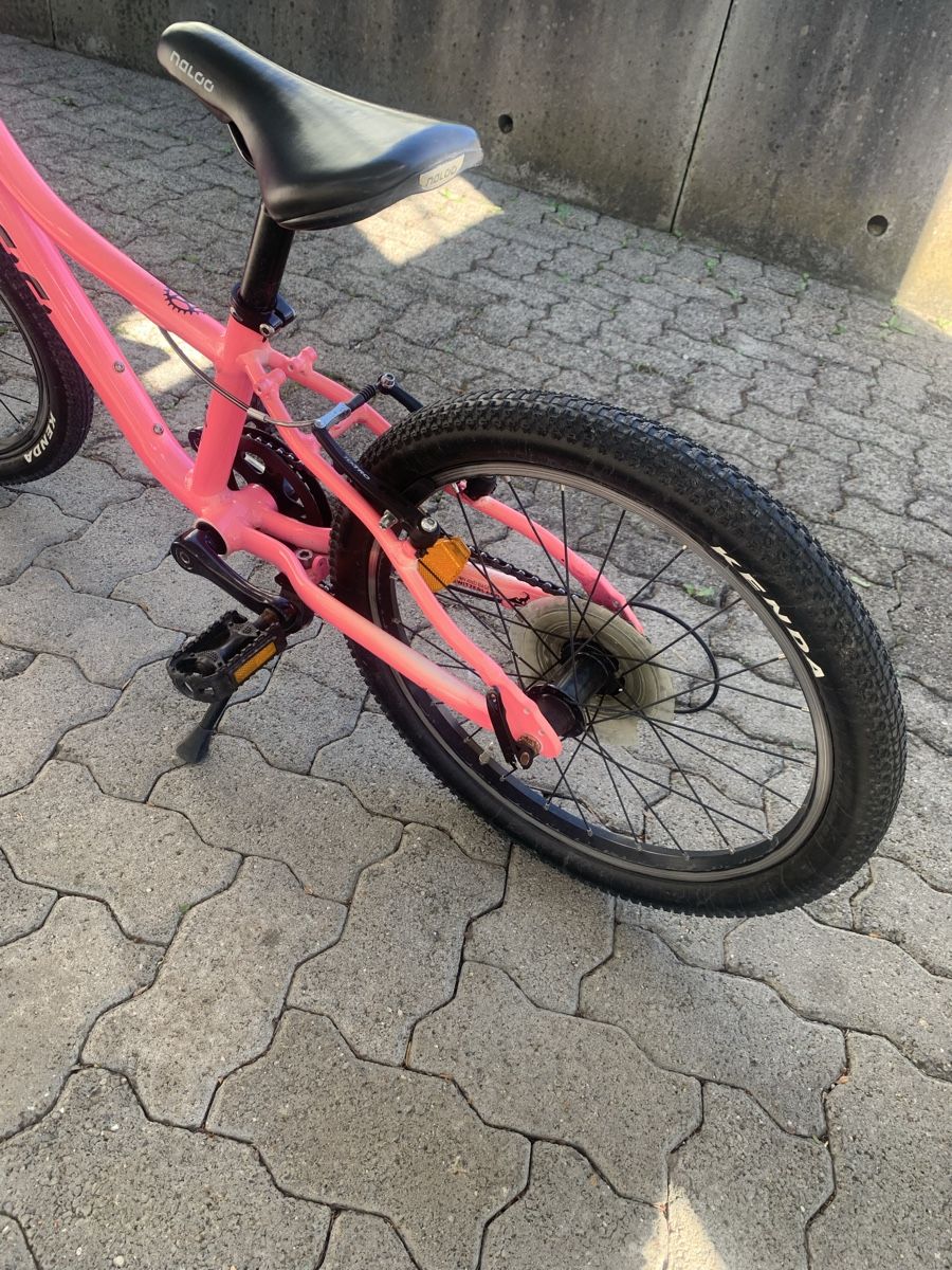 Naloo Biciclette: Naloo chameleon 20 Zoll – Usato da Binz venduto da denise014 2