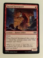 1 x Harried Spearguard - Magic: The Gathering - MtG