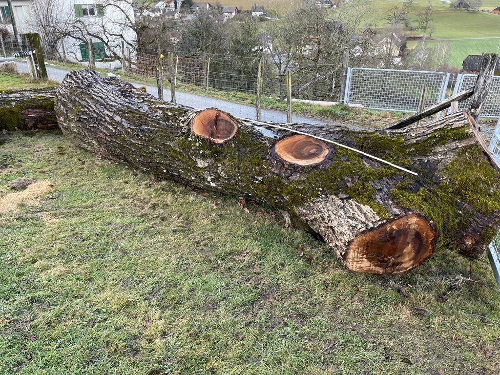 Articles en bois: Nussbaum – D'occasion à Wald AR par Mark92 2