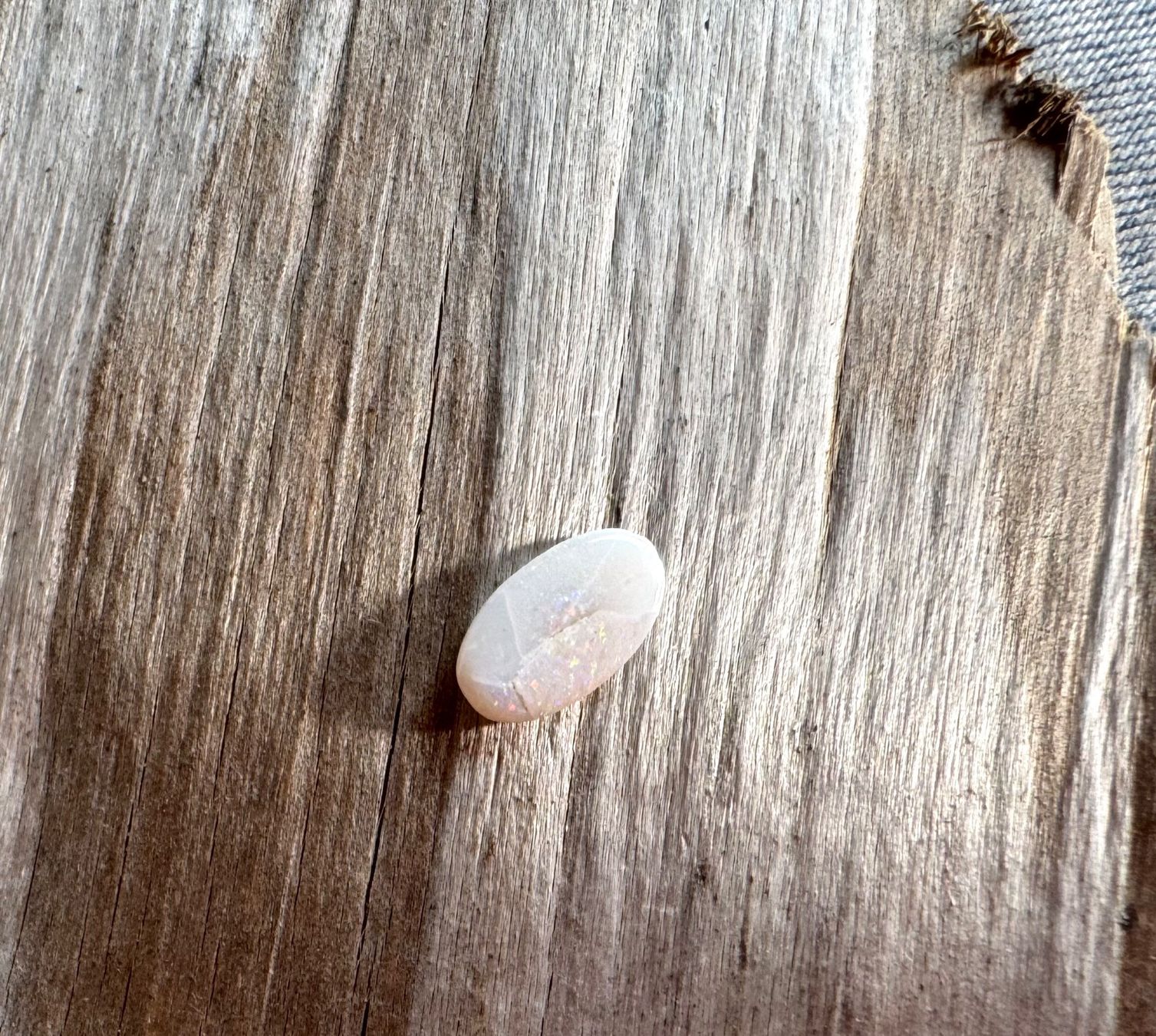 Fossili: winziger OPAL,   geschliffen poliert  12mm – Nuovo e nell'imballaggio originale da Leuggern venduto da gemshow 3