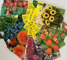 Diverse Blumen- und Gemüsesamen