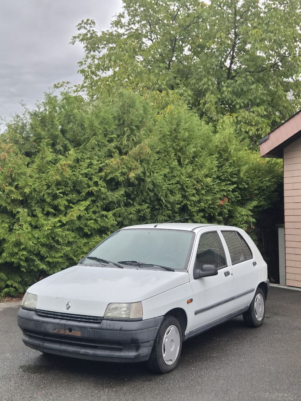 Renault Automobili: Renault Clio 1.4  – Difettoso da Näfels venduto da Aa0123 1