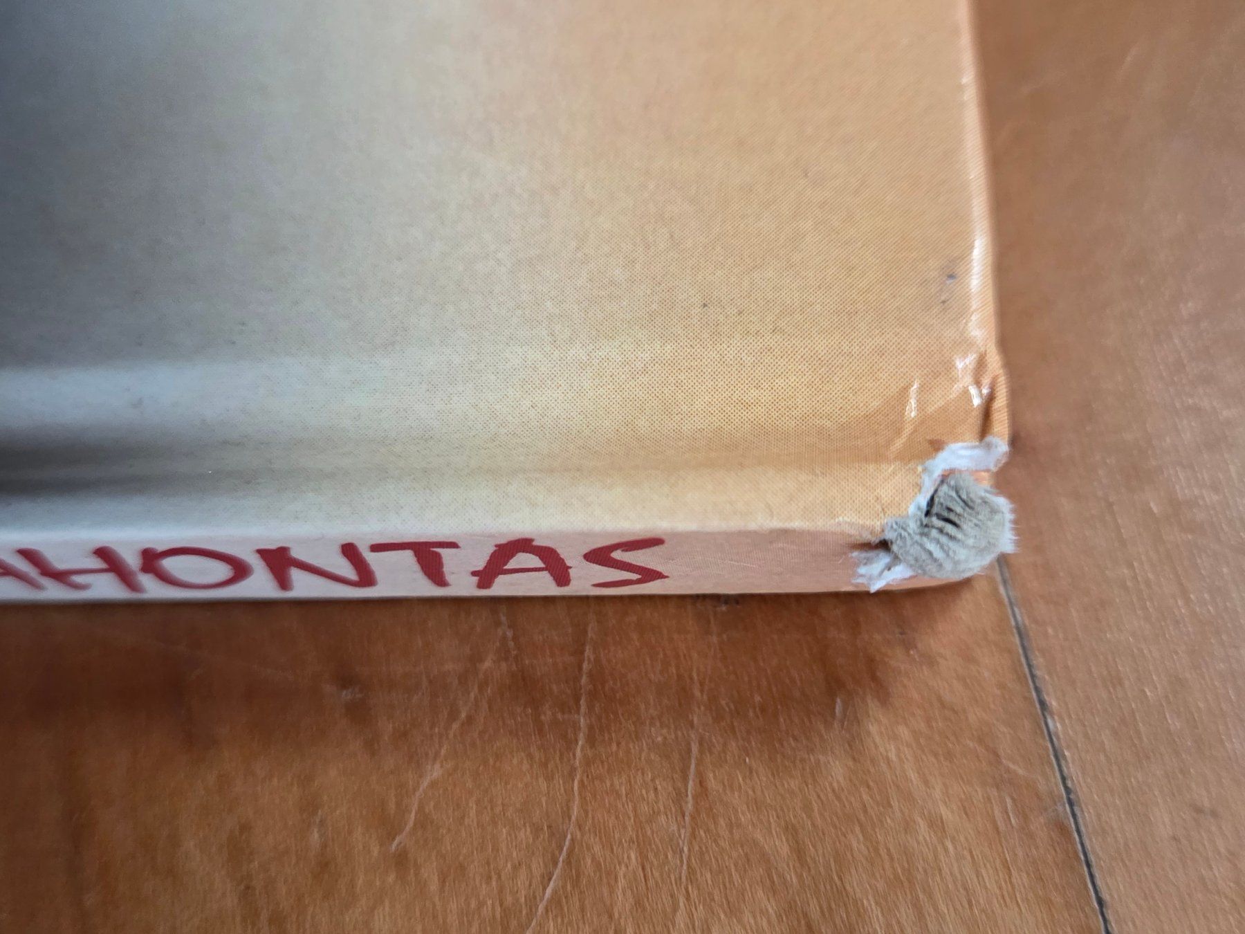 Libri: 2 Bilderbücher Mulan / Pocahontas – Usato da St. Gallen venduto da Razoon77 9