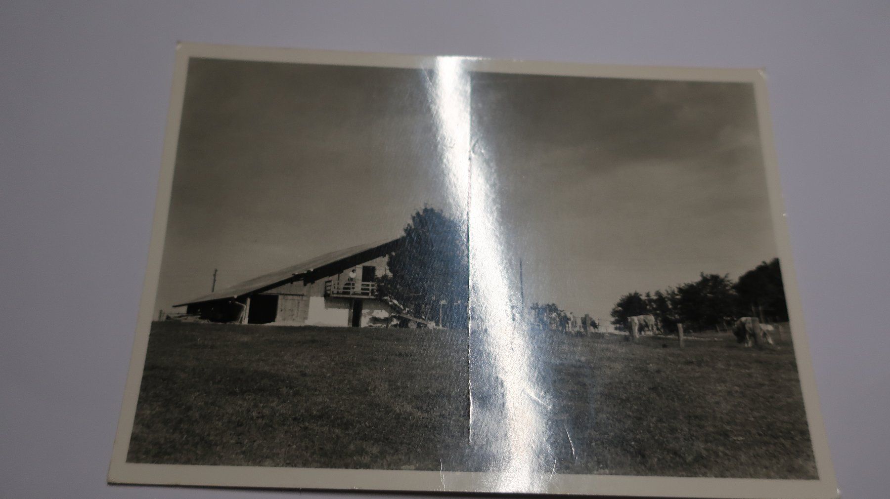 Ansichtskarten: Bellevue en Provence  1962 – Gebraucht aus Cormoret von Pascalll2001 1