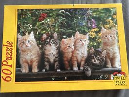 Puzzle "Kätzchen"