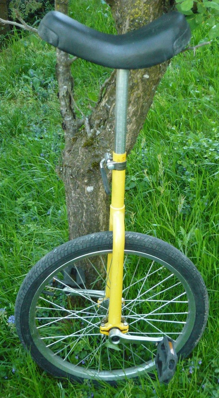 Biciclette: Einrad – Usato da Ruggell venduto da Btt