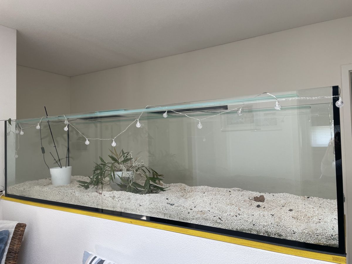 Alle Dekorationen: Glasbecken – Gebraucht aus Beromünster von sie_7gkf