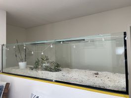 Glasbecken