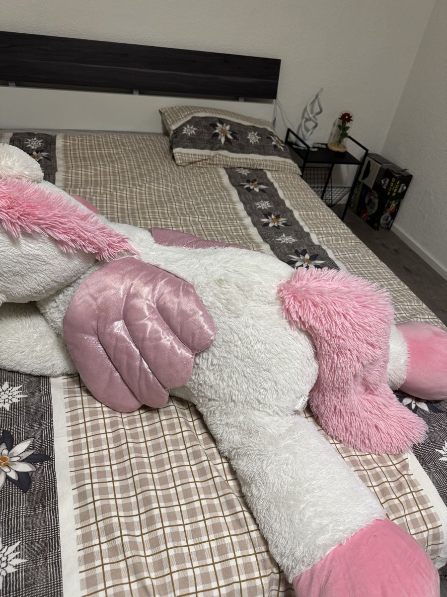 Spielzeuge: Peluche licorne géante – Neu (gemäss Beschreibung) aus Boécourt von kat_hj5y 4