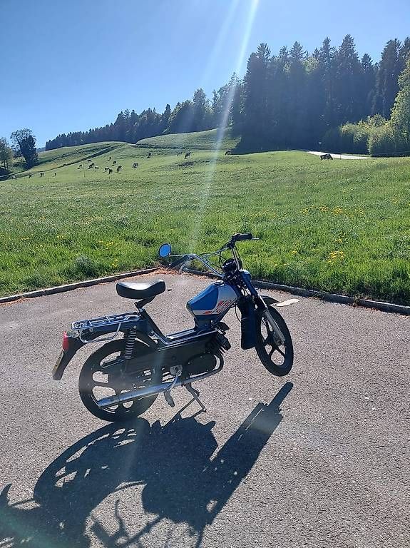 Pony Ciclomotori: Zu verkaufen Pony 503 GTX KAT – Usato da Gibswil venduto da porschegto 1