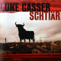 Luke Gasser SCHTIÄR  Mundart Rock  Swissrock CD