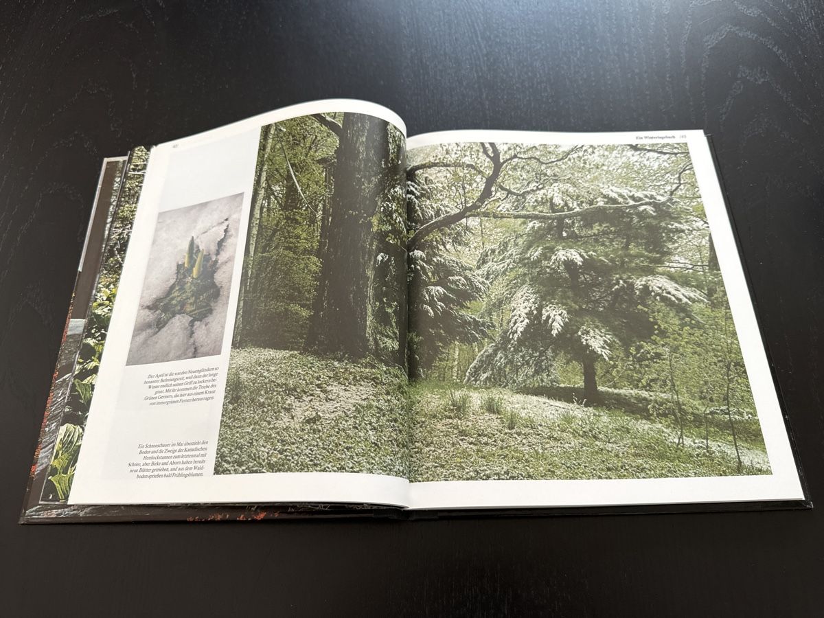 Libri: Wildnis Neuenglands – Usato da Erstfeld venduto da Uhu1980 3