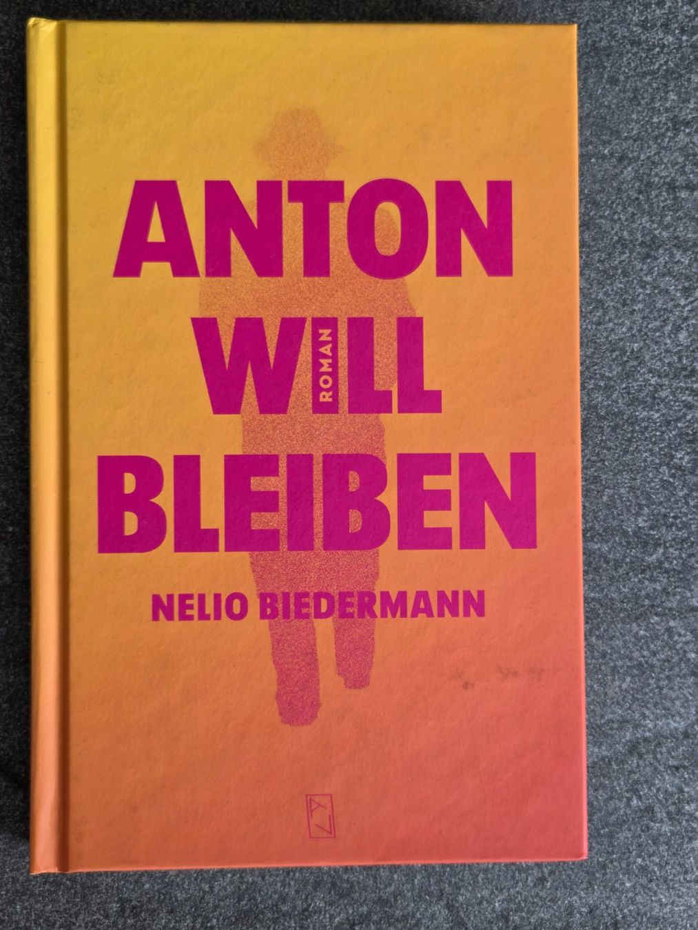 Libri: Buch "Anton will bleiben" Nelio Biedermann – Usato da Spiez venduto da Aprikose25