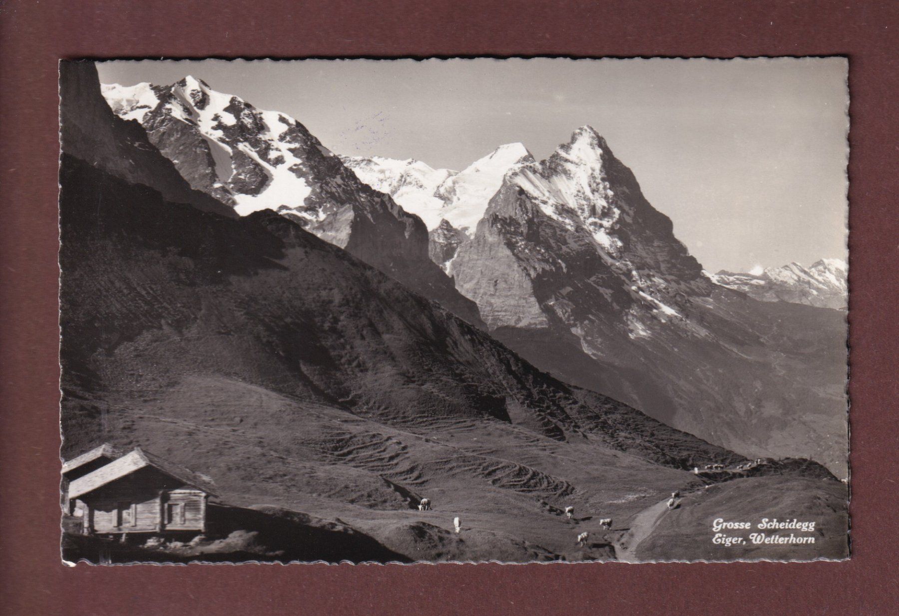 Cartoline postali: GROSSE SCHEIDEGG - Eiger - Wetterhorn – Usato da Pully venduto da nicecards-shop