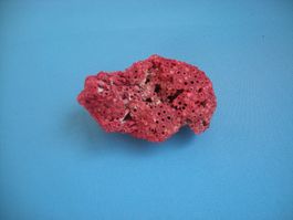 Rote Koralle etwa 6cm gross selten !