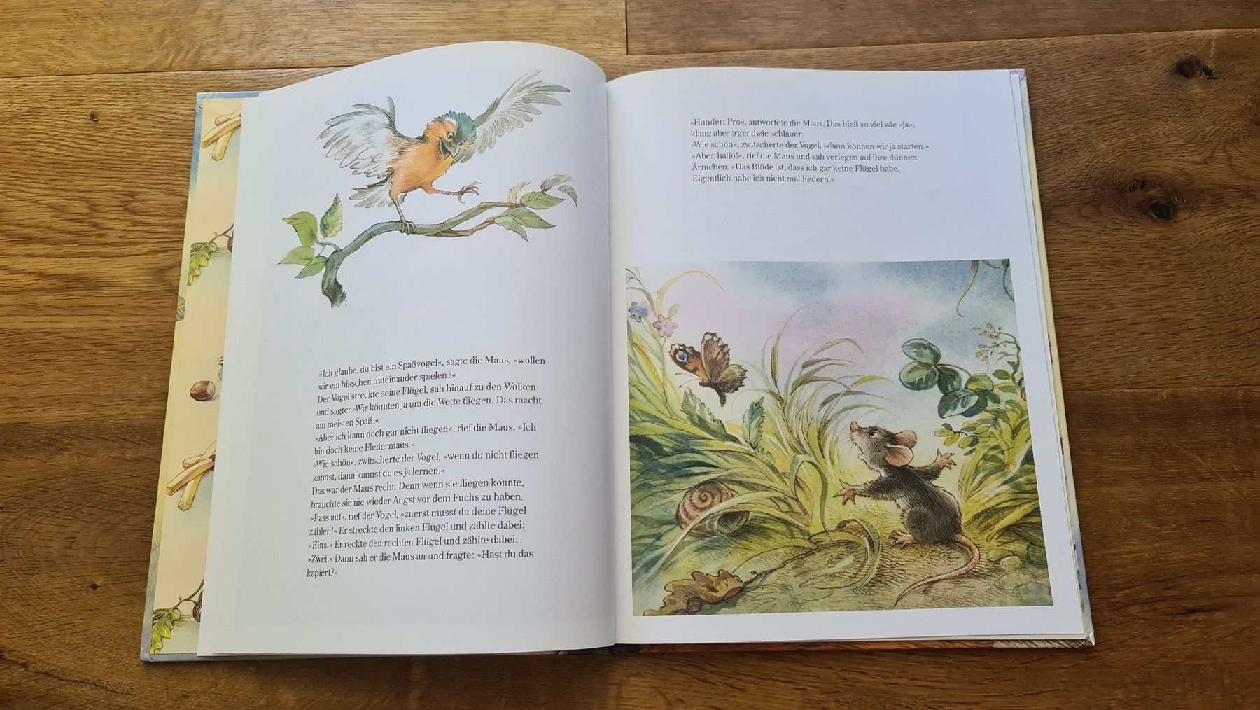 Bücher: maus kleine maus wilhelm topsch  buch – Gebraucht aus Wittenbach von Tigerlili 2